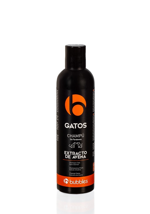 gatos