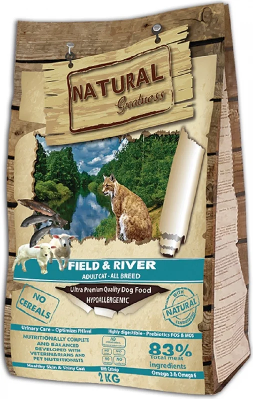 field river