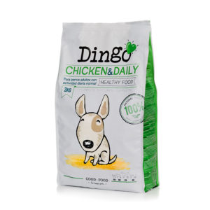 0006_chickenanddaily-adulto-3-dingo-dingonatura-300x300