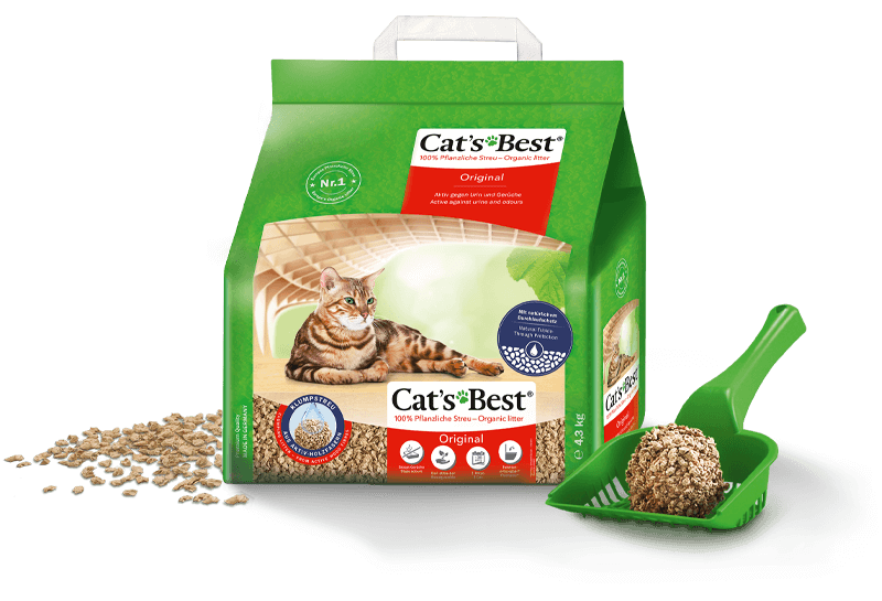 cats best