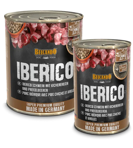 cerdo iberico
