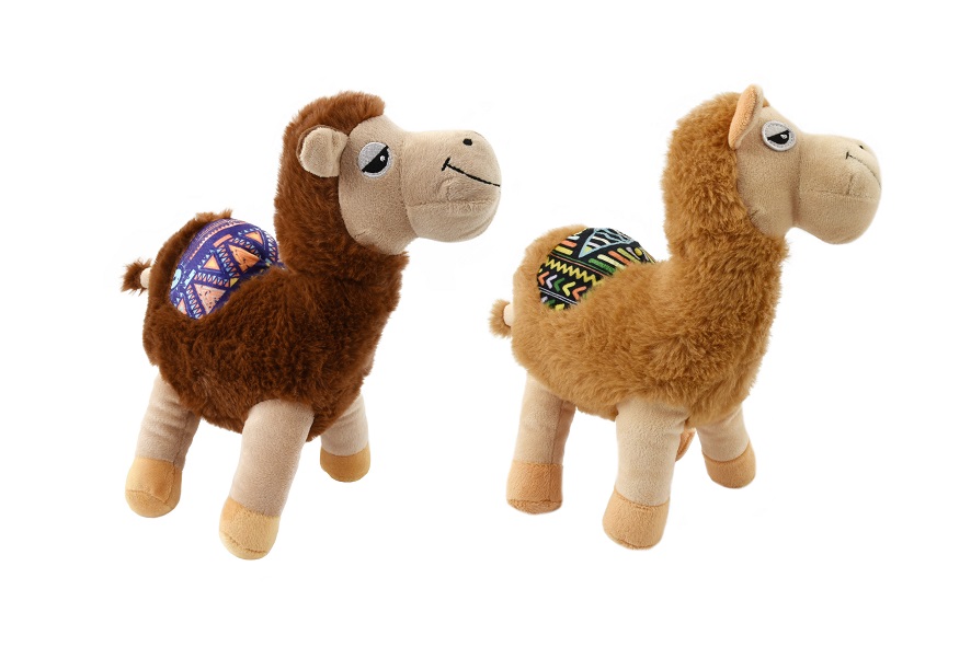 llama