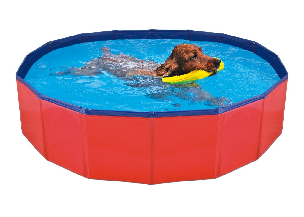 pisci